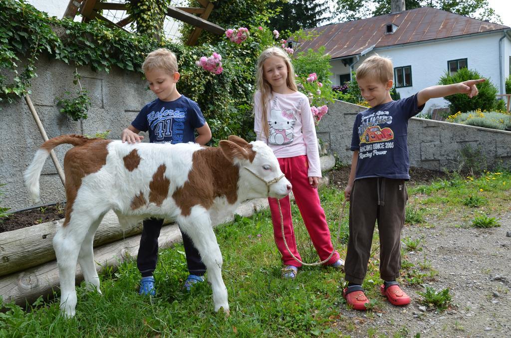 Ferienwohnung Vonwald Michelbach Zewnętrze zdjęcie