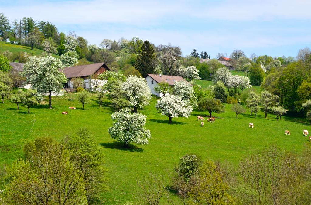 Ferienwohnung Vonwald Michelbach Zewnętrze zdjęcie