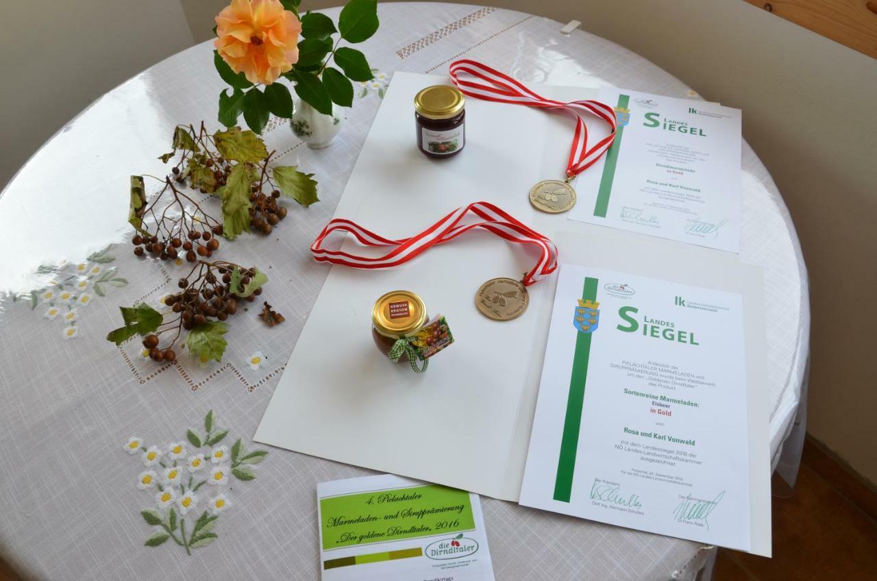 Ferienwohnung Vonwald Michelbach Zewnętrze zdjęcie