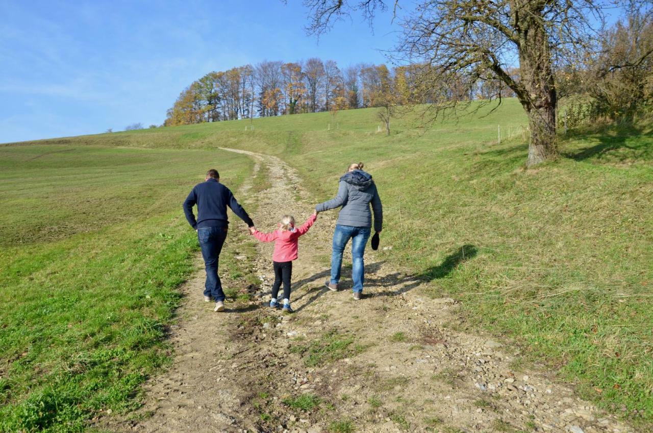 Ferienwohnung Vonwald Michelbach Zewnętrze zdjęcie