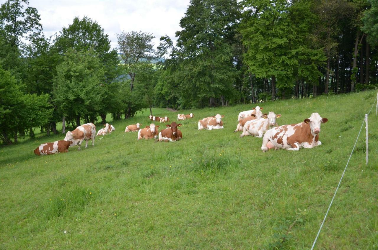 Ferienwohnung Vonwald Michelbach Zewnętrze zdjęcie