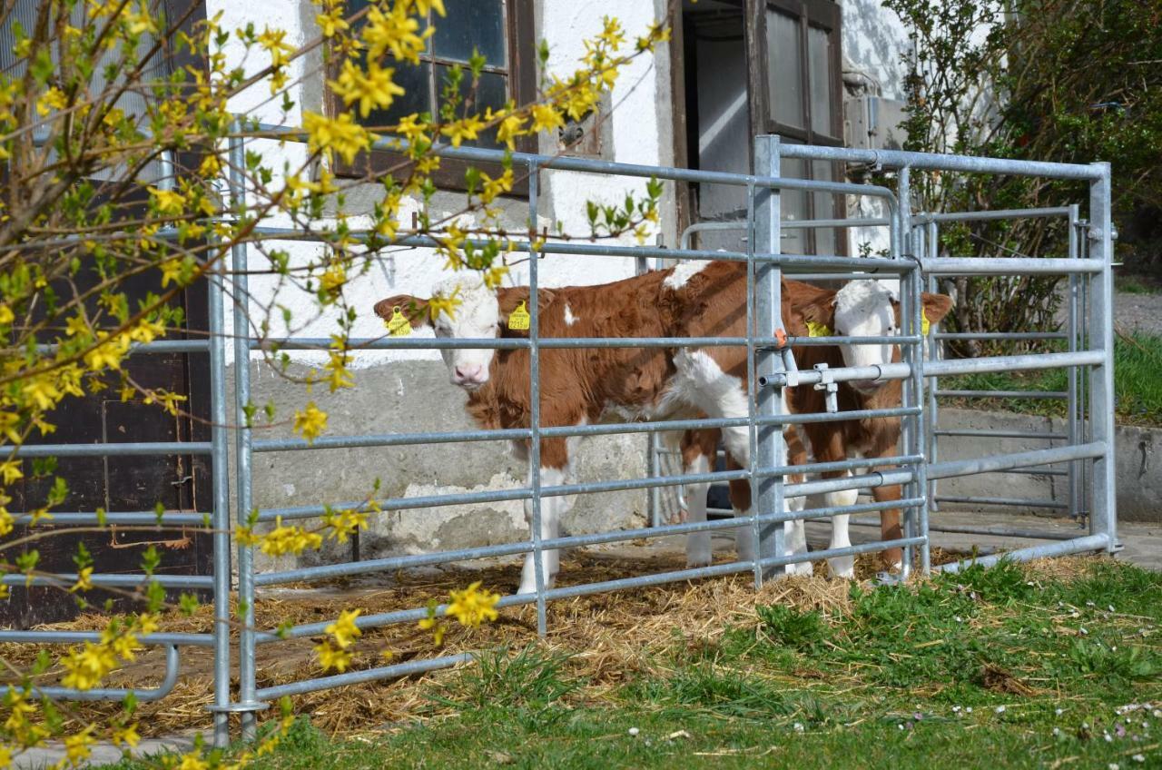 Ferienwohnung Vonwald Michelbach Zewnętrze zdjęcie
